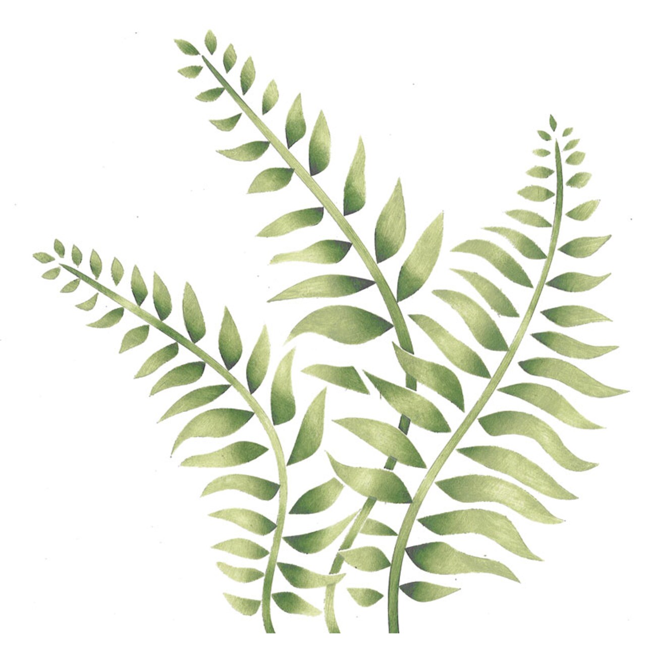 Triple Fern Wall Stencil | 2402 by Designer Stencils | Reusable Art Craft Stencils for Painting on Walls, Canvas, Wood |